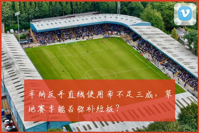 辛纳反手直线使用率不足三成，草地赛季能否弥补短板？