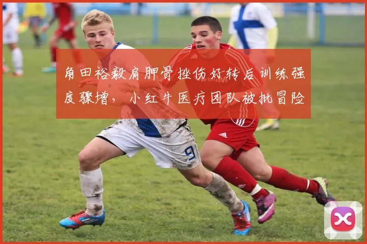 角田裕毅肩胛骨挫伤好转后训练强度骤增，小红牛医疗团队被批冒险